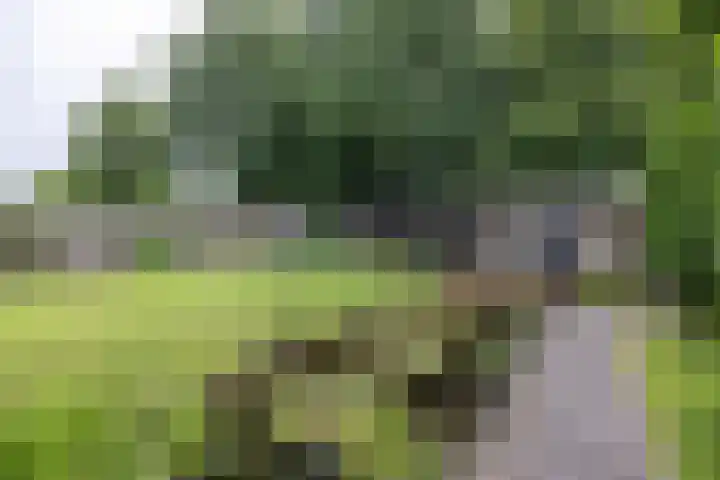 Hoekweg 18 Vroomshoop thumbnail 41