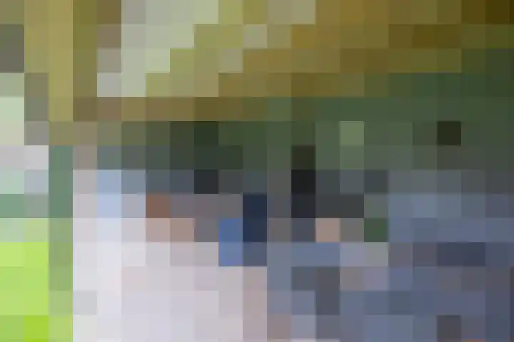 Hoekweg 18 Vroomshoop thumbnail 45