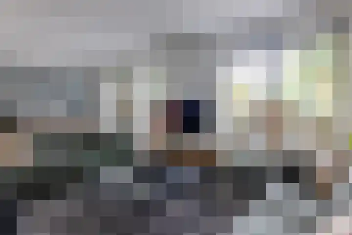 Hoekweg 18 Vroomshoop thumbnail 6