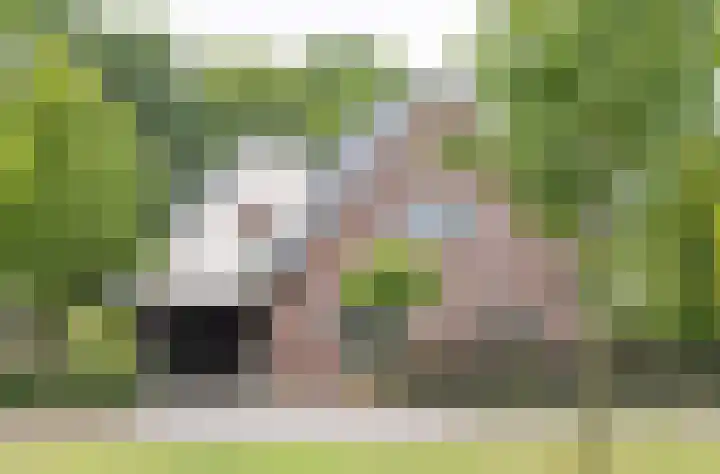 Hoekweg 18 Vroomshoop thumbnail 61