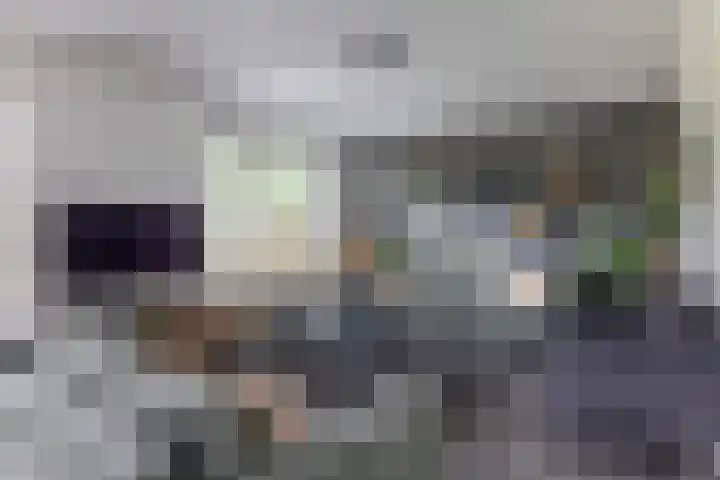 Hoekweg 18 Vroomshoop thumbnail 7