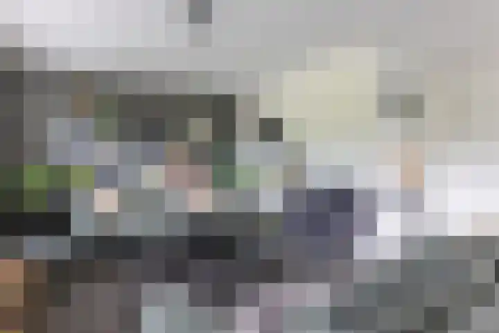 Hoekweg 18 Vroomshoop thumbnail 8