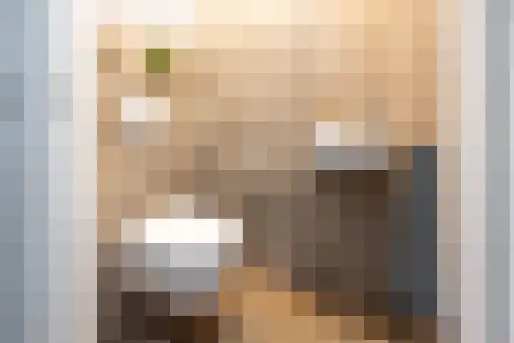 Hoekweg 33 Vroomshoop thumbnail 11