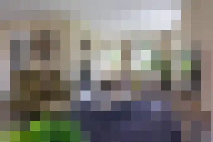 Hoekweg 33 Vroomshoop thumbnail 14
