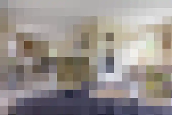 Hoekweg 33 Vroomshoop thumbnail 16