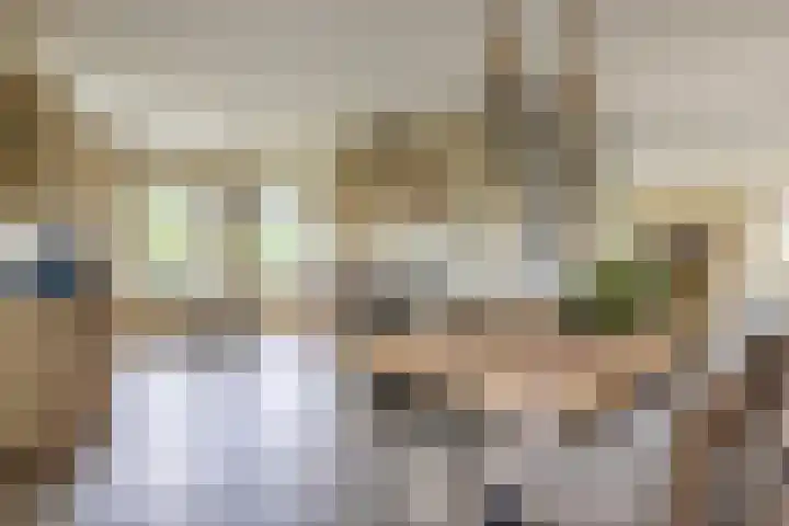 Hoekweg 33 Vroomshoop thumbnail 20