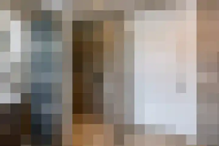 Hoekweg 33 Vroomshoop thumbnail 25