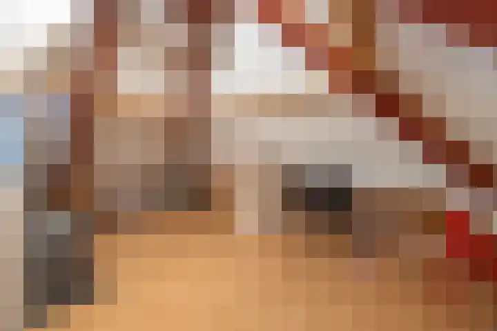 Hoekweg 33 Vroomshoop thumbnail 30