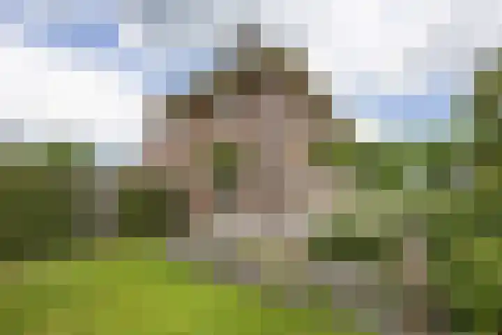 Hoekweg 33 Vroomshoop thumbnail 35