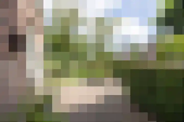 Hoekweg 33 Vroomshoop thumbnail 37