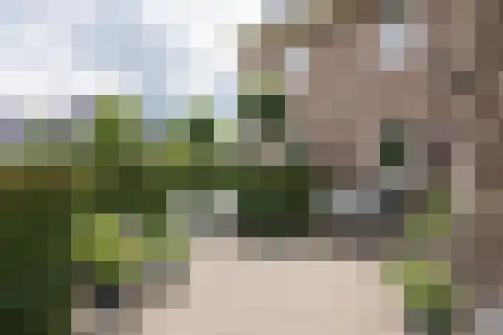 Hoekweg 33 Vroomshoop thumbnail 38