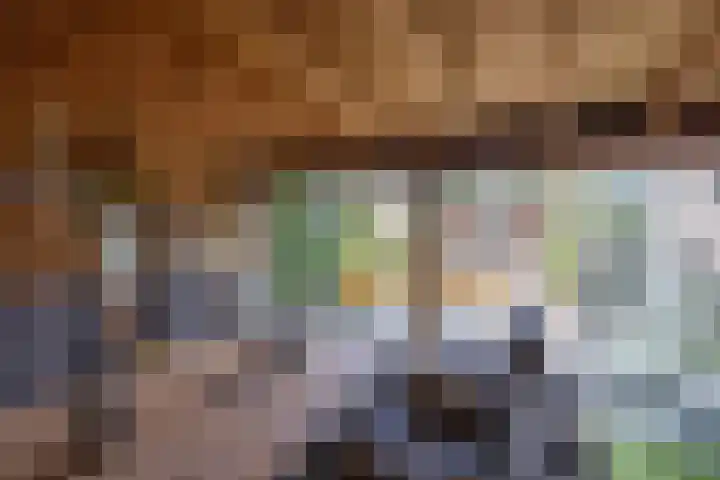 Hoekweg 33 Vroomshoop thumbnail 41
