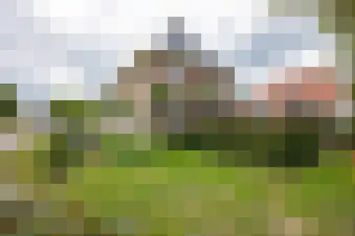 Hoekweg 33 Vroomshoop thumbnail 45