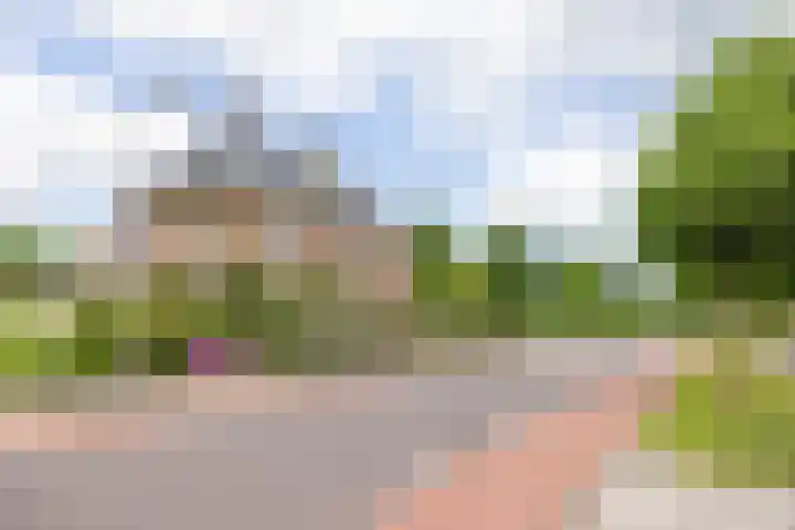 Hoekweg 33 Vroomshoop thumbnail 48