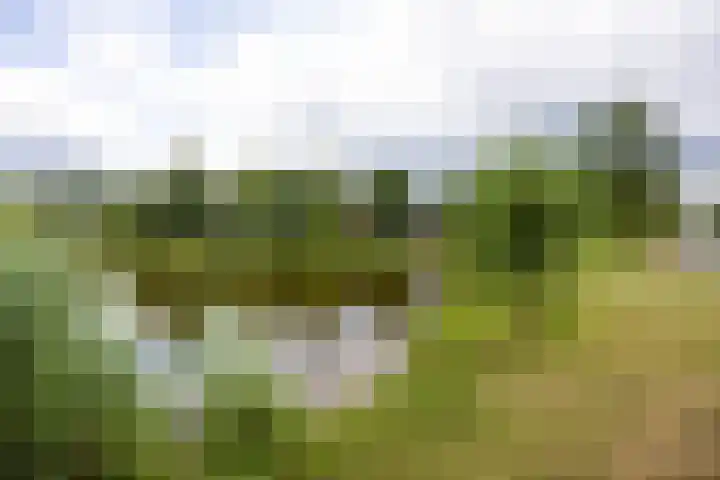 Hoekweg 33 Vroomshoop thumbnail 9