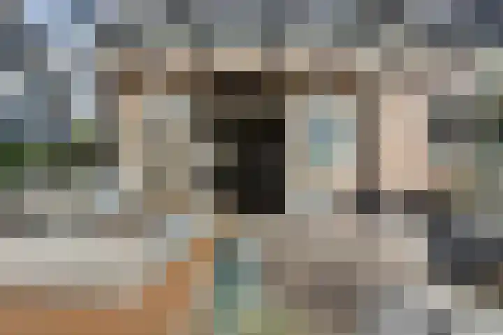 Hoekweide 4 Wolphaartsdijk thumbnail 18