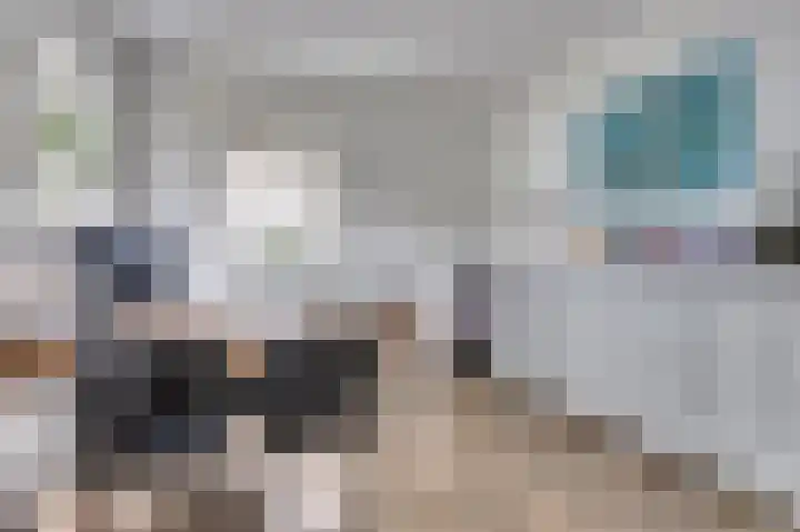 Hoekweide 4 Wolphaartsdijk thumbnail 20