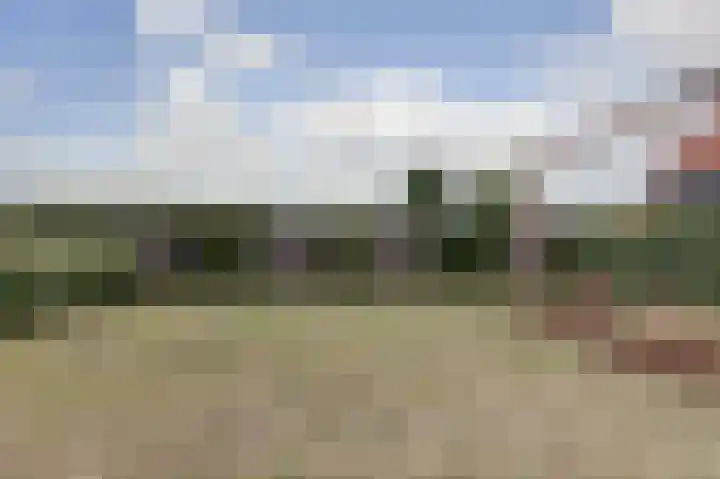 Hoekweide 4 Wolphaartsdijk thumbnail 36