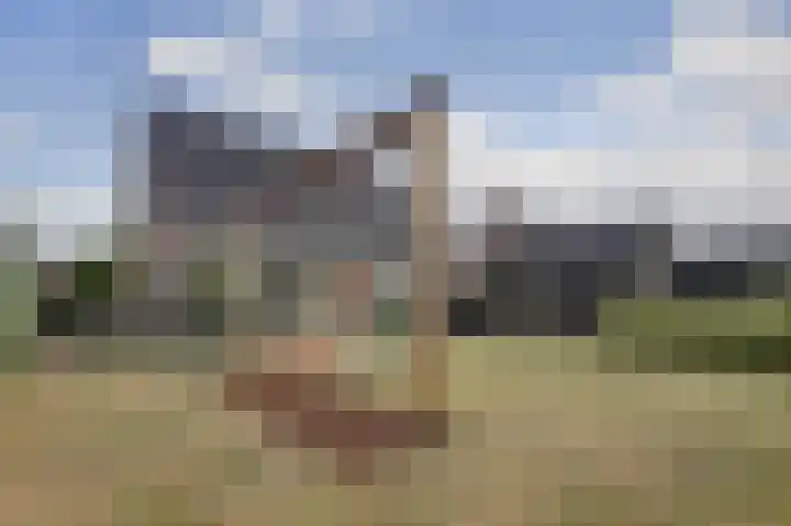 Hoekweide 4 Wolphaartsdijk thumbnail 37