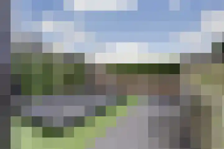 Hoekweide 4 Wolphaartsdijk thumbnail 40