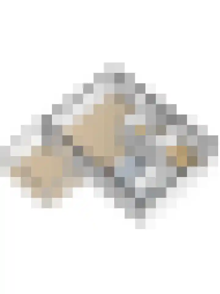 Hoekweide 4 Wolphaartsdijk thumbnail 56