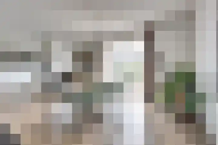 Hoekweide 4 Wolphaartsdijk thumbnail 8