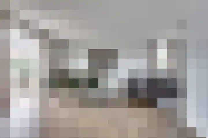 Hoekweide 4 Wolphaartsdijk thumbnail 9