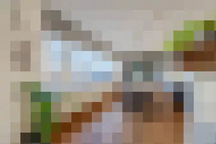 Hoenderbosplein 83 Uden thumbnail 20