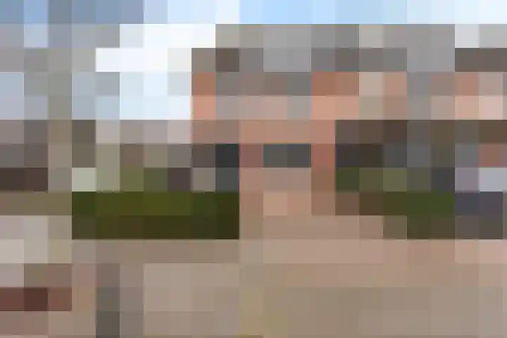 Hoenderhei 29 Best
