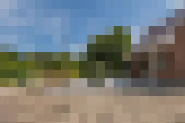 Hoenderparkdreef 12 Bosschenhoofd thumbnail 13
