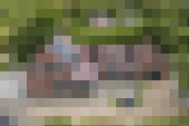Hoenderparkdreef 12 Bosschenhoofd thumbnail 14