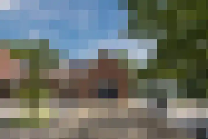 Hoenderparkdreef 12 Bosschenhoofd thumbnail 16