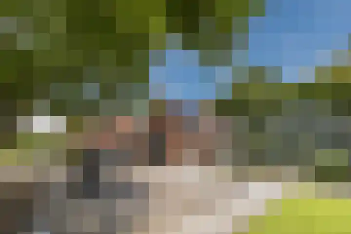 Hoenderparkdreef 12 Bosschenhoofd thumbnail 18