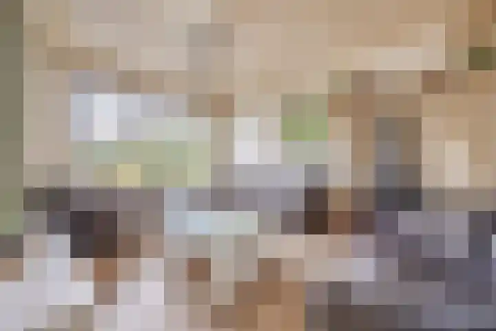 Hoenderparkdreef 12 Bosschenhoofd thumbnail 22