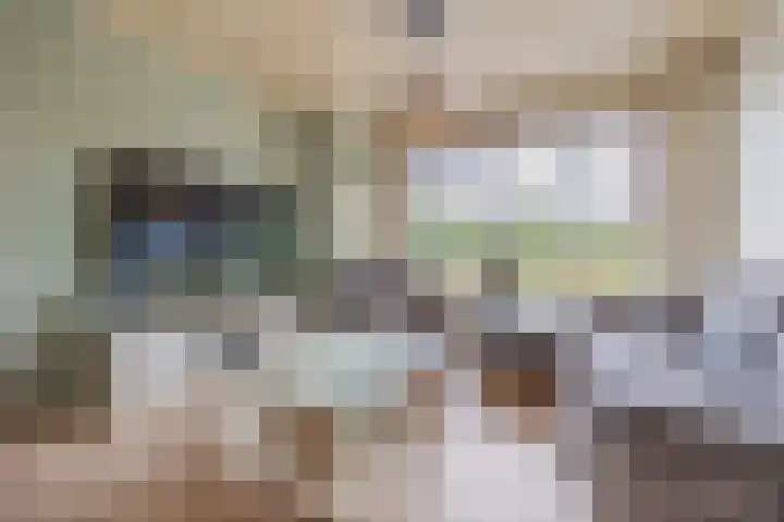 Hoenderparkdreef 12 Bosschenhoofd thumbnail 23