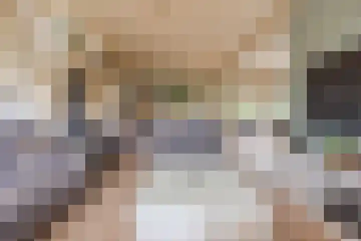 Hoenderparkdreef 12 Bosschenhoofd thumbnail 24