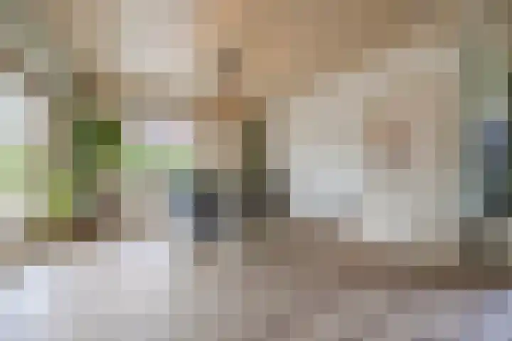 Hoenderparkdreef 12 Bosschenhoofd thumbnail 26