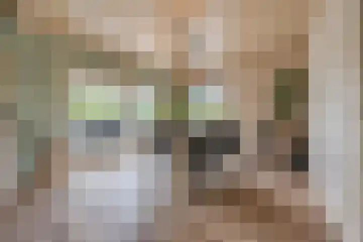 Hoenderparkdreef 12 Bosschenhoofd thumbnail 28