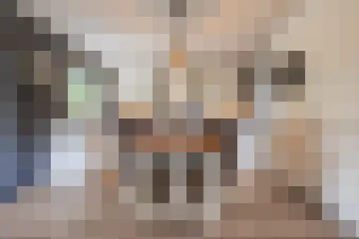 Hoenderparkdreef 12 Bosschenhoofd thumbnail 30