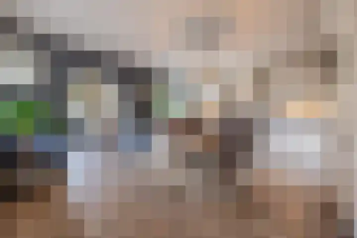 Hoenderparkdreef 12 Bosschenhoofd thumbnail 31