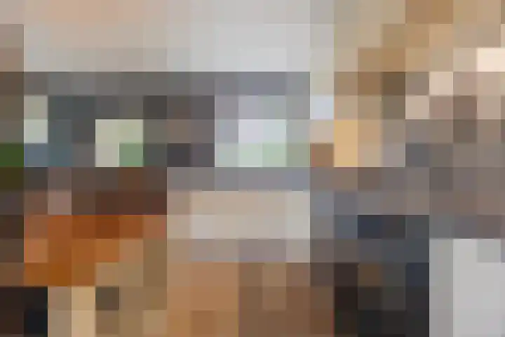 Hoenderparkdreef 12 Bosschenhoofd thumbnail 33