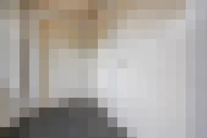 Hoenderparkdreef 12 Bosschenhoofd thumbnail 35
