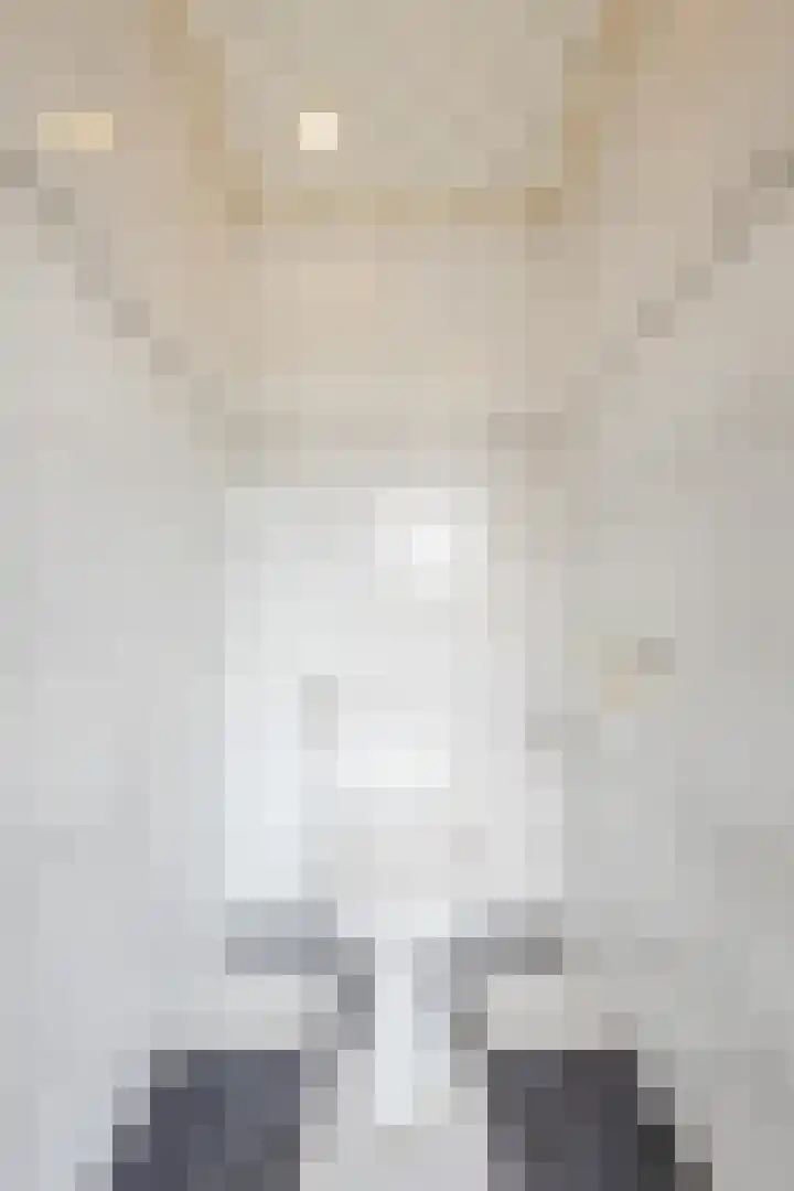 Hoenderparkdreef 12 Bosschenhoofd thumbnail 37
