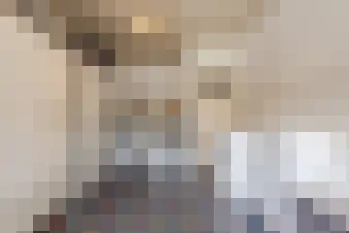 Hoenderparkdreef 12 Bosschenhoofd thumbnail 38