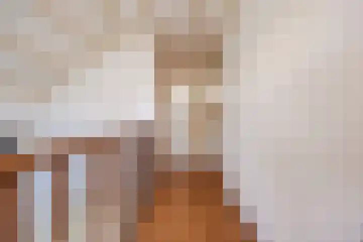 Hoenderparkdreef 12 Bosschenhoofd thumbnail 40