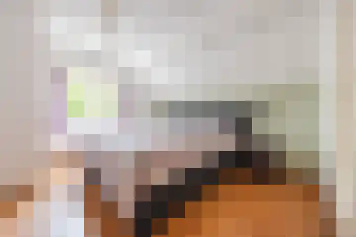 Hoenderparkdreef 12 Bosschenhoofd thumbnail 42