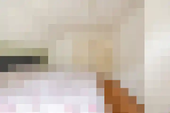 Hoenderparkdreef 12 Bosschenhoofd thumbnail 43