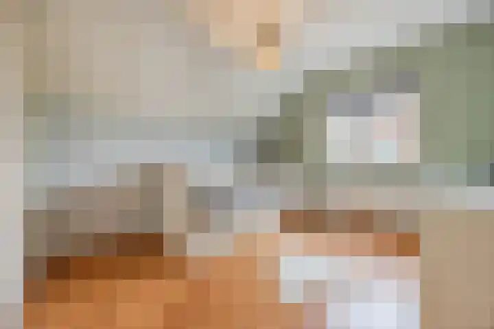 Hoenderparkdreef 12 Bosschenhoofd thumbnail 46