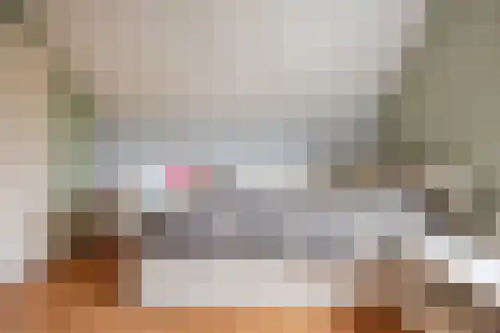 Hoenderparkdreef 12 Bosschenhoofd thumbnail 49