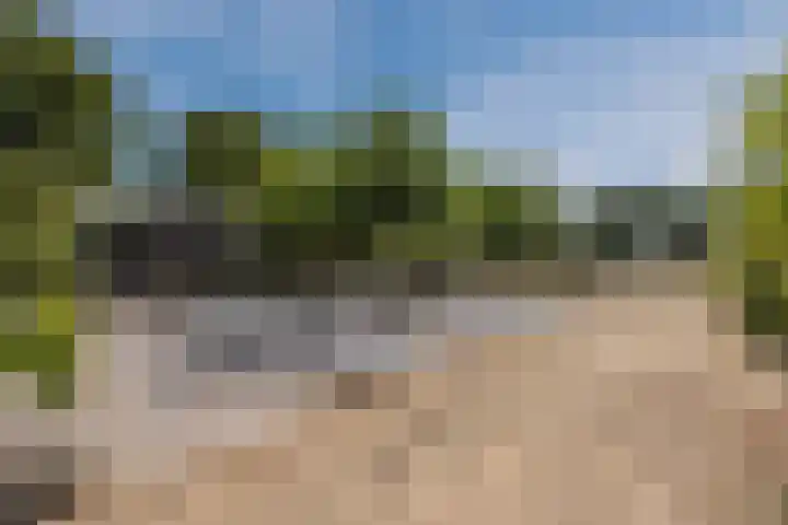 Hoenderparkdreef 12 Bosschenhoofd thumbnail 5